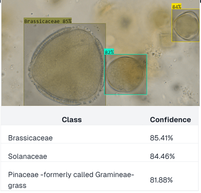 Pollen AI Analysis